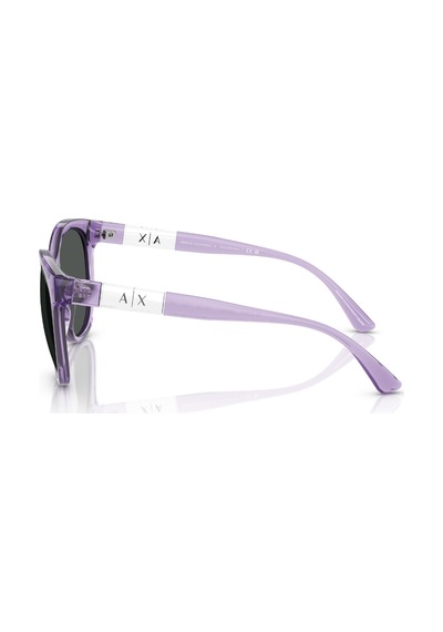 Ax 4120s 823687 54 Armani Exchange Güneş Gözlüğü Siyah