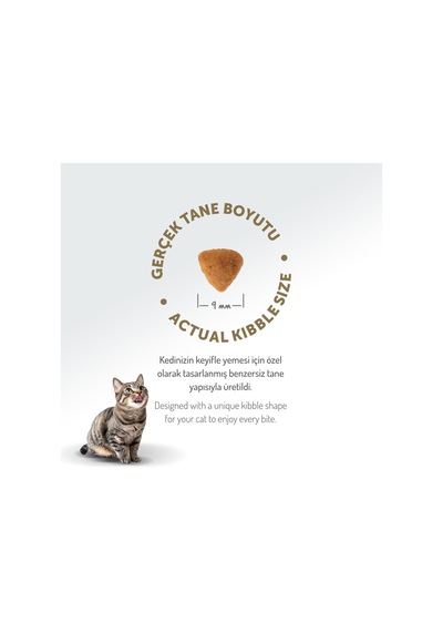 Az Tahıllı, Sterilised Tavuklu Hypoallergenic Kedi Maması, 12 Kg
