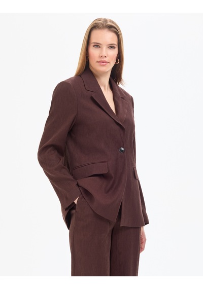 Pierre Cardin Kadın Kahverengi Ceket 50324082-vr029