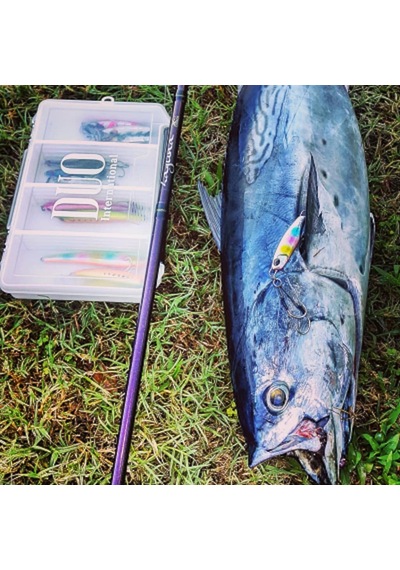 Duo Drag Metal Cast Jig 20Gr. Pha0187 / Blue Pink Sardine