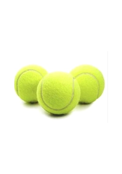 Tenis Topu Antrenman Sarı 3 Adet Birden Köpek Dişleme Topu Oyun T