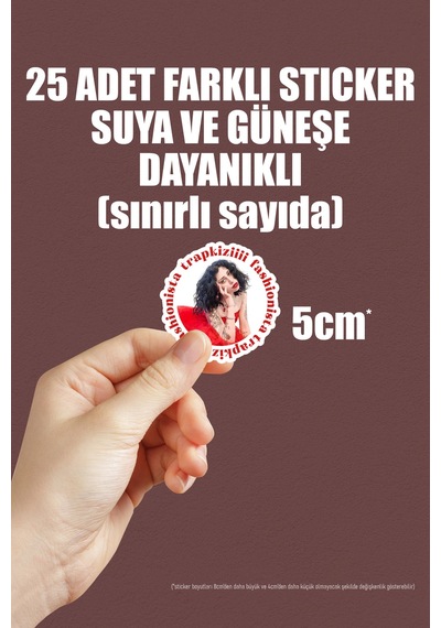 Trapkiziiii Special Edition Yapışkanlı Folyo Sticker Paketi 25 Adet Sınırlı Sayıda Çok Renkli
