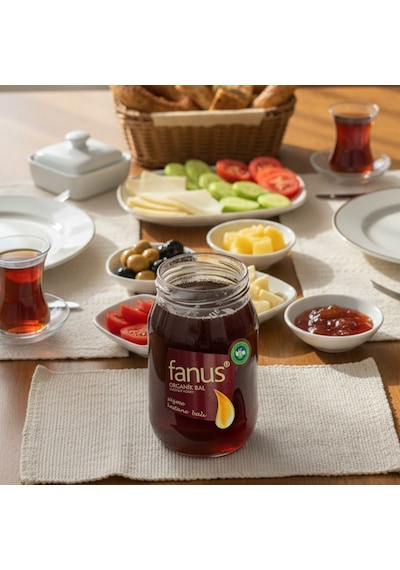 Fanus Organik Süzme Kestane Balı 460 G