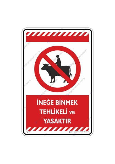 Ineğe Binmek Tehlikeli Ve Yasaktır