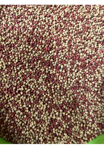 Yunus Balığı Yemi, Yunus Ciklet Kafa Yemi, Yüksek Protein 100 Gr