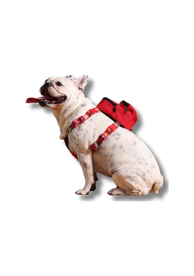 Gimme Five Kırmızı Çantalı Göğüs Tasması,köpek Sırt Çantası Göğüs Tasması İşlevli, Geri Dönüş