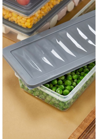 Multi Box 4 Lü Set Saklama Kabı Seti - Dondurucu & Mikrodalga Uyumlu Gri
