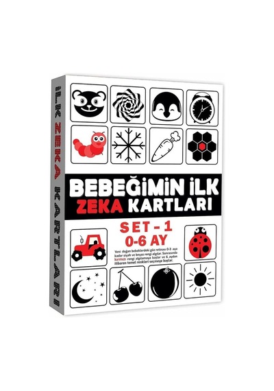 2199 Eğitici Kartlar 0-6 Ay Zeka Kartları Çok Renkli
