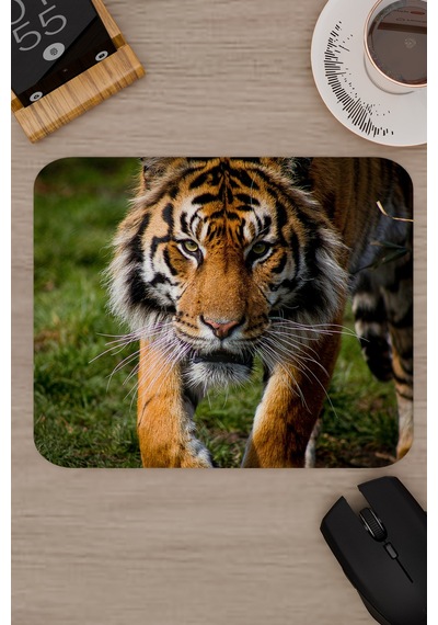 Karadeniz Kaplanı Kaymaz Dikişli Kauçuk Oyuncu Mousepad V4 - 22x18 Gaming Mouse Pad Fare Altlığı