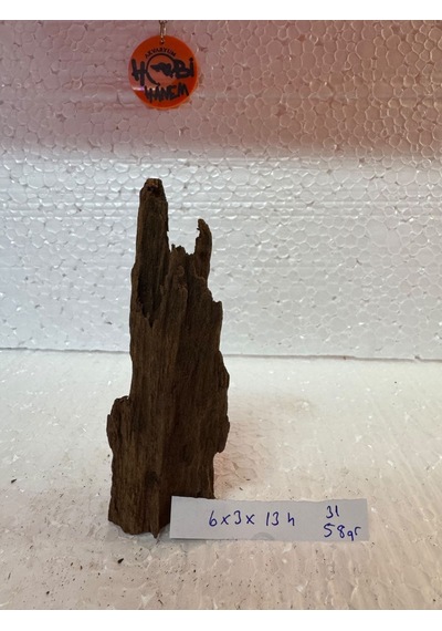 Mangrow Kökü No:31 6x3x13h