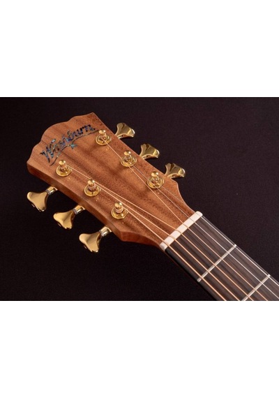 Washburn Btsc56sce Bella Tono Allure Sc56sce Akçaağaç Gövde Üst Düzey İşçilik