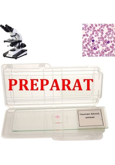 İnsan Kanı Daimi Kan Preparatı