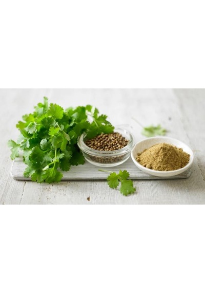 50+ Kişniş Otu Tohumu Geleneksel
