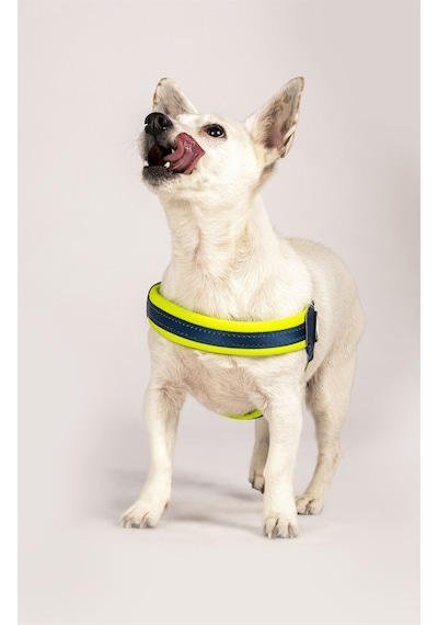 Max & Molly Q-Fit Matrix Yellow Göğüs Tasması Sarı XXS Sarı