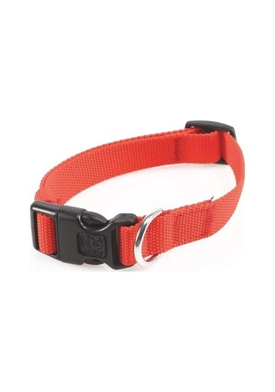 Jolly Köpek Boyun Tasması Red M Çok Renkli