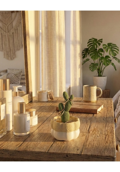 Elana Design Kaktüs Tasarımlı Takı Kutusu Yüzük, Bileklik Ve Kolye Düzenleyici Dekoratif Saklama Kutusu Bej - Şeffaf