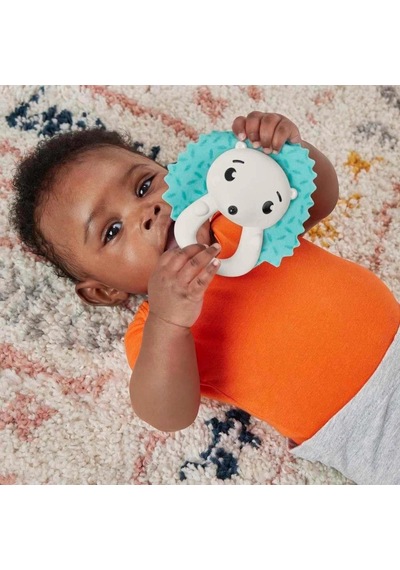 Fisher Price Eğlenceli Dostlar Çıngıraklı Dişlik - Kirpi Hjw11-hkd72 Çok Renkli