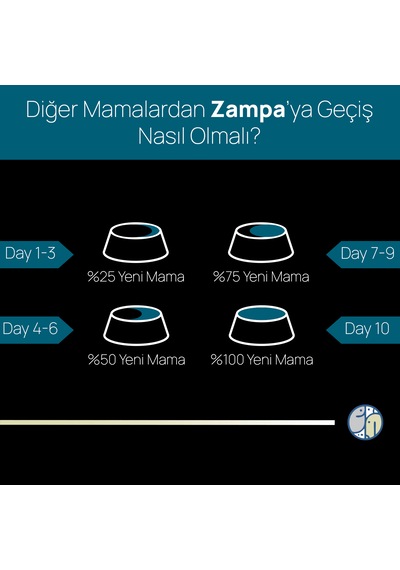 Zampa Plus Somon Etli & Hamsili Premium Yetişkin Kedi İçin Kuru Mama 15 KG