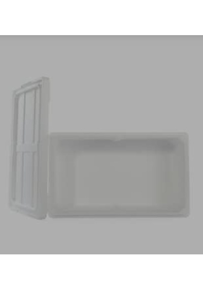 Nefes Sağlık B-3 15 Kg Strafor Köpük Kutu İç Ölçü 45,5x35,4x21 Dış Ölçü 50x40x25,5 Çok Renkli
