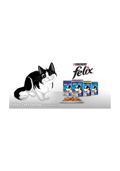 Agail Sığır Etli Kedi Pouch 85gr 20'li