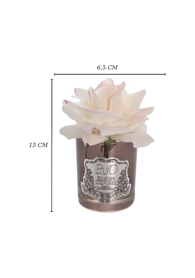 Füme Cam Silver Tek Gül Luxury Home Perfume Acı Elma
