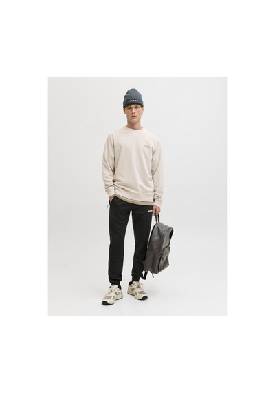 Jack & Jones Jack Jones Godon Thatcher Regular Fit Erkek Eşofman Altı 12279102 Siyah
