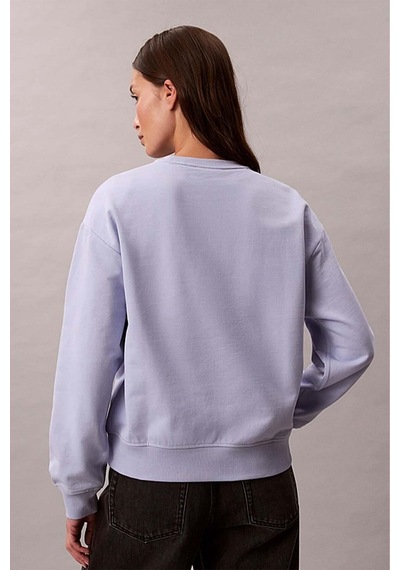 Calvin Klein Kadın Sweatshirt-lv047b234g-12530 Çok Renkli