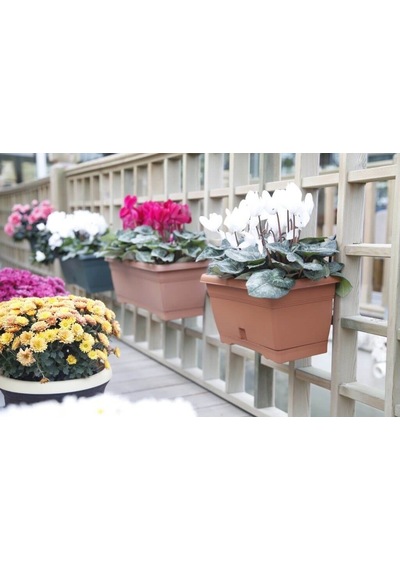 Serinova Villa Balkon Saksı 2.75 Lt