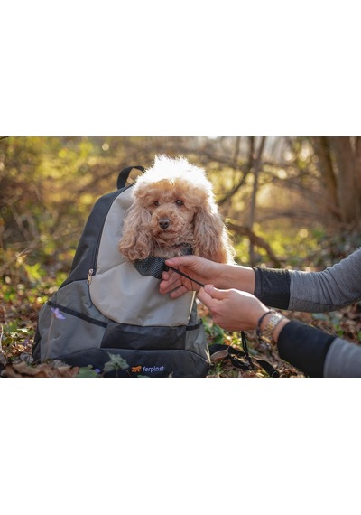 Ferplast Kangoo Large Küçük Köpek Taşıma Çantası, Dolgulu Omuzlar, Sağlam Ve Dayanıklı Malzeme, Gri