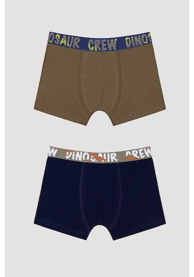 Penti Erkek Çocuk Dinosur Crew Slogan Baskılı Boxer Çok Renkli