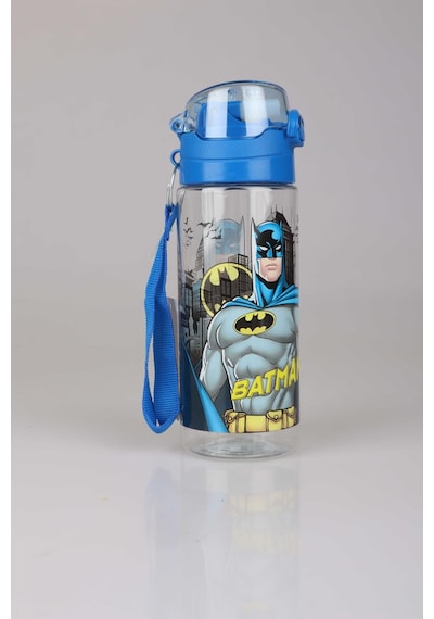 Lisanslı Batman Trıtan 500 Ml Matara Diğer