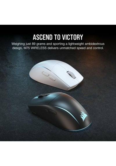 M75 Kablosuz Rgb Hafif Fps Oyun Faresi 26.000 Dpı Değiştirilebilir Yan Tuşlar İcue Uyumlu Pc Beyaz Diğer