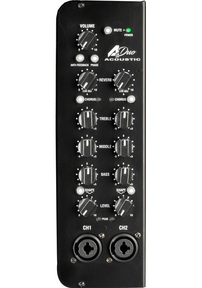 Laney A-duo Akustik Gitar Amfisi 2x8" Pille Çalışabilen Sınıf