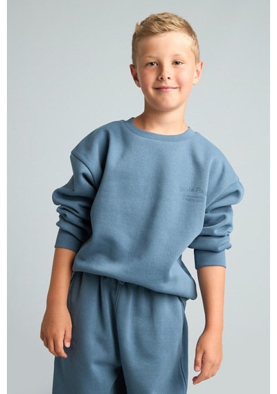 Defacto Bisiklet Yaka Efekt Nakışlı Sweatshirt Erkek Çocuk H9683a826wnbe739 Mavi-be739
