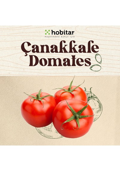 Hobitar Çanakkale Tarla Domates Tohumu