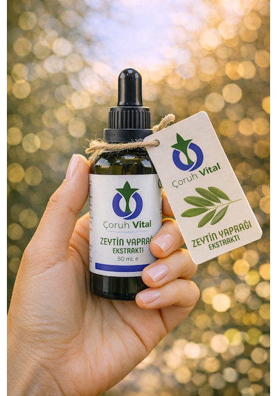 Zeytin Yaprağı Ekstraktı