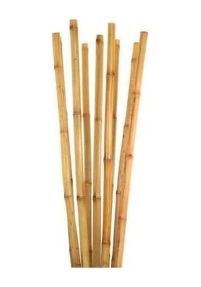 Bambu Bitki Destek Çubuğu 120 Cm 20 Adet