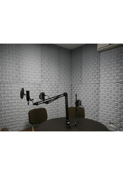 Ses Yalıtımı Akustik Labirent Sünger 30Mm 50Dns Ebat 100X100 1M2