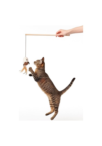 Hayvan Figürlü Jüt Kumaşlı Kedi Oltası Doğal Malzemeli Çıngıraklı Oyuncak Kedi Egzersiz Çubuğu Tüylü Daya