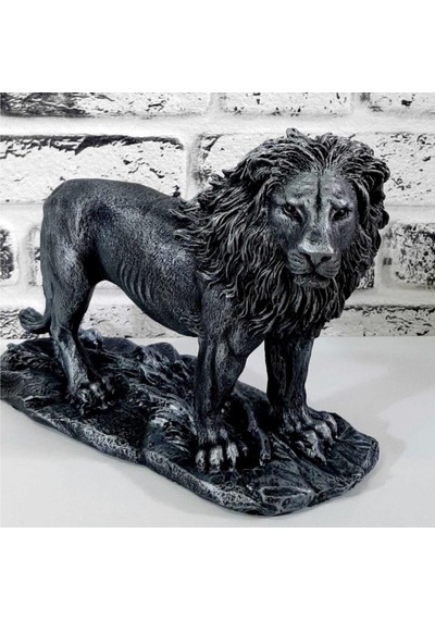 Aslan Biblo Hf248-5