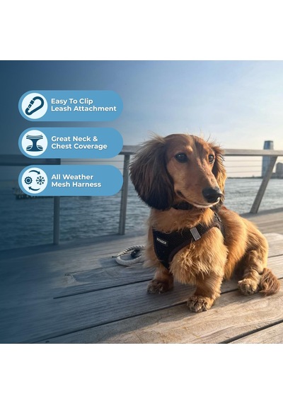 Voyager Step-ın Air Köpek Koşum Takımı - Küçük Ve Orta Ölçekli Köpekler İçin Yelek Koşumunda Tüm Hava Mesh Basamağı - Siyah, Xl Çok Renkli