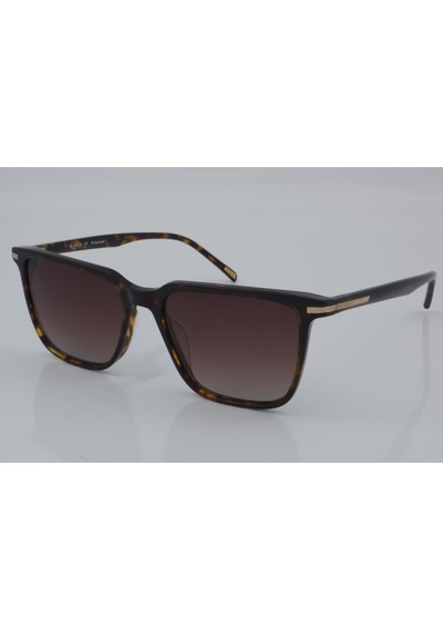 Blancia Bc 1207 C2 55 - 01 Güneş Gözlüğü Leopar