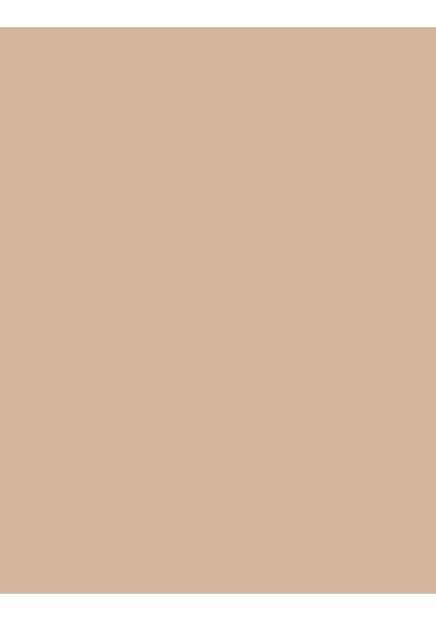 Flormar Doğal Bitişli Kapatıcı Soğuk Alt Ton - Stay Perfect Concealer - 005 Beige - 8682536085526 00