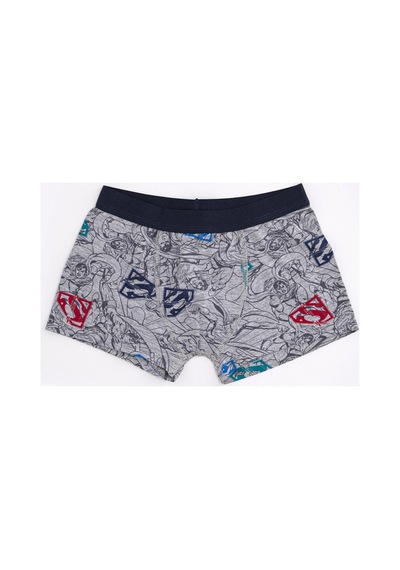 Superman Lisanslı Erkek Çocuk 2'li Boxer Seti Çok Renkli