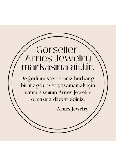 Arnes Jewelry Çelik Zirkon Taşlı Kalpli Küpe Ar304nes Gümüş