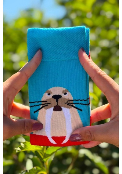 Lousocks Unisex Deniz Aslanı Desenli Renkli Soket Çorap Turkuaz