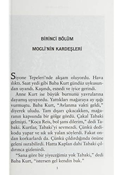 Orman Kitabı: Kısaltılmış Metin