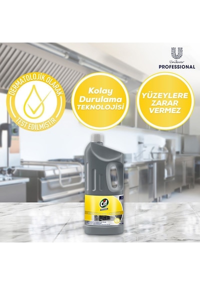 Professional Çok Amaçlı Krem Temizleyici 1,9 Lt 3adet 3'lü Set