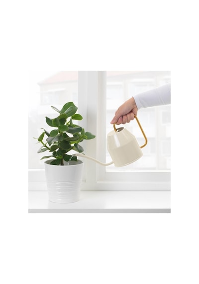 Vattenkrasse Sulama Kabı 900 ML Krem - Altın