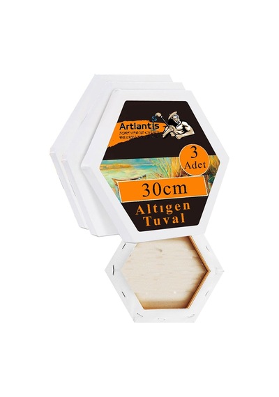 Altıgen Tuval 30 Cm 3 Adet Arkadan Zımbalı Astarlı Resim Tuvali Akrilik Boya Yağlı Boya Altıgen Şekil Tuval Ressam Sanat